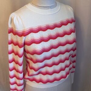 Tommy Hilfiger Crewneck Sweater Top ~ NWT